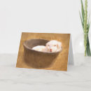 Suche nach babyziege karten Farm