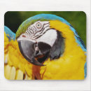 Suche nach papagei mousepads Natur