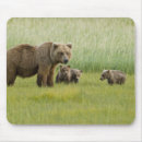 Suche nach wildnis mousepads Bär