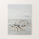 Suche nach pinguin puzzle Familie