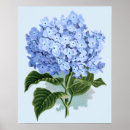 Suche nach antike botanische illustration poster Natur