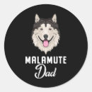 Suche nach alaskan malamute aufkleber Zäh