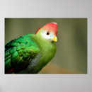 Suche nach schöpfer poster Natur