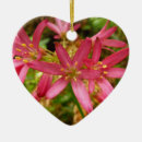 Suche nach rote blume ornamente Foto