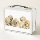 Suche nach labrador brotdosen Haustiere