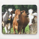 Suche nach molkerei mousepads Natur
