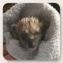 Suche nach igel untersetzer Waldtier