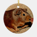 Suche nach meerschweinchen kugel ornamente Nagetier