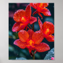 Suche nach rote orchidee poster Natur