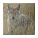 Suche nach canis untersetzer Fleischfresser