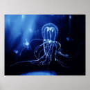 Suche nach jellyfish poster Meerestiere
