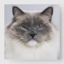 Suche nach cat wanduhren Cute