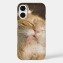Suche nach ohren iphone hüllen Tiere