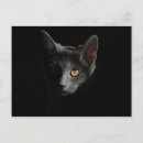 Suche nach katzenaugen postkarten Schwarzkatze