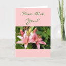 Suche nach taglilie karten Blume