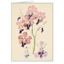 Suche nach lila orchidee karten Rosa