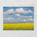 Suche nach canola Blau