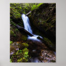 Suche nach verzauberter wald poster Grün