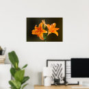 Suche nach tiger foto poster Blume