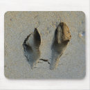 Suche nach känguru mousepads Foto