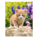 Suche nach ingwer poster Für kinder