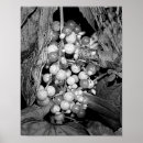 Suche nach beeren poster Für sie