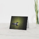Suche nach häufig karten Fotografie