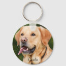Suche nach begleiter accessoires Haustier