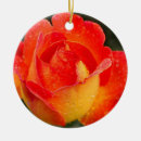 Suche nach tau ornamente Natur