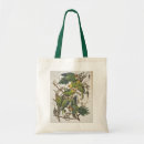 Suche nach ornithologisch Illustration