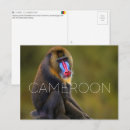 Suche nach kamerun postkarten Reise