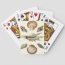 Suche nach muschel spielkarten Seashell