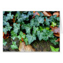 Suche nach grüner efeu karten Pflanze