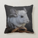 Suche nach chinchilla kissen Tiere