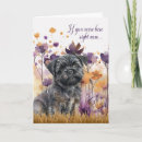Suche nach affenpinscher karten Hunde