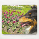 Suche nach tricolor mousepads Hunde