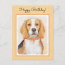 Suche nach beagle postkarten Hund