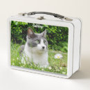 Suche nach graue katze Blumen