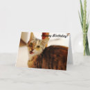 Suche nach katze geburtstag karten Alles gute zum geburtstag