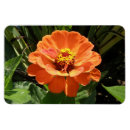 Suche nach pretty magnete Flowers