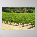Suche nach napa wein poster Weingut