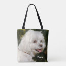 Suche nach maltipoo taschen Tier