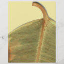 Suche nach herbst flyer Weiß