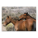 Suche nach berühren postkarten Bob langrish