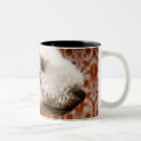 Suche nach tailles tasses Studioschuß