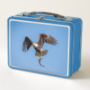 Suche nach adler brotdosen Wild lebende tiere