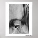 Suche nach san diego poster Strand