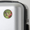 Suche nach kolibri magnete Farbenfroh
