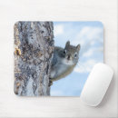 Suche nach baumstamm mousepads Eichhörnchen