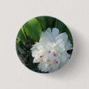 Suche nach wertvoll buttons Rosa